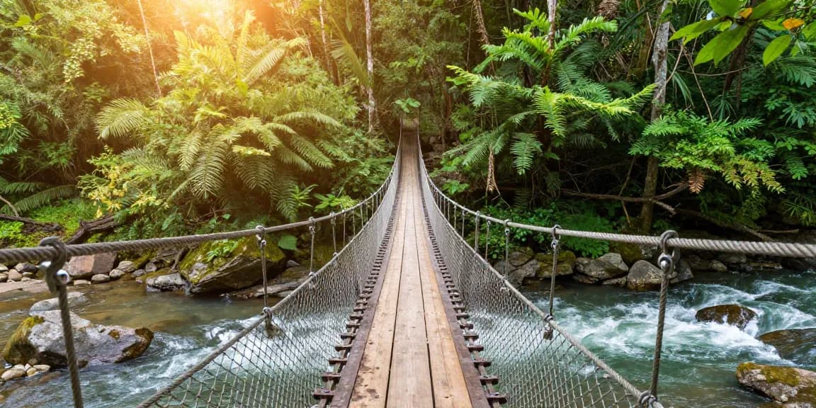 Adventurers on a River Rope Bridge surrounded by lush trees and a flowing river.